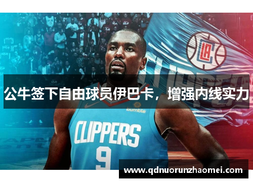 公牛签下自由球员伊巴卡，增强内线实力