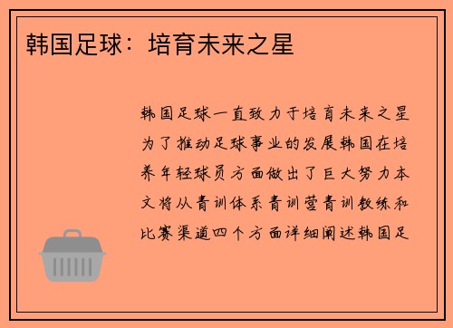 韩国足球：培育未来之星